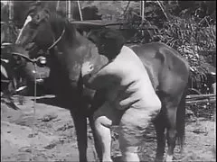 Pidiéndole