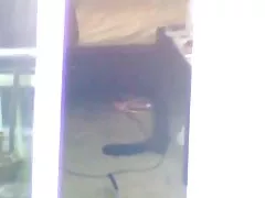 Booyahexcessivecelebrationsetblack